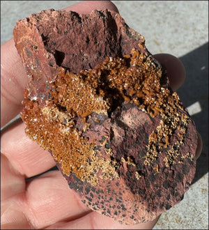 Moroccan VANADINITE Specimen with Cool Dendrites - Root Chakra, Harmony