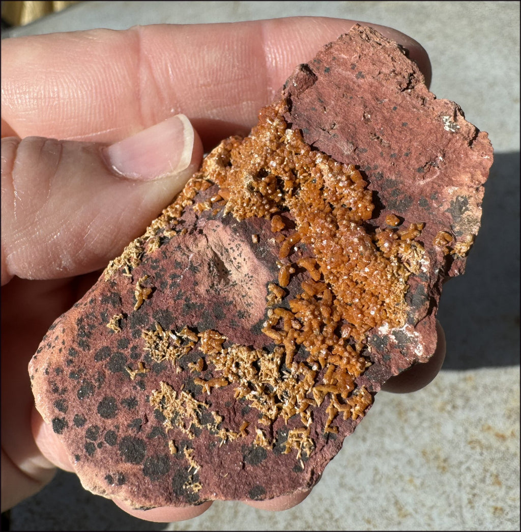 Moroccan VANADINITE Specimen with Cool Dendrites - Root Chakra, Harmony