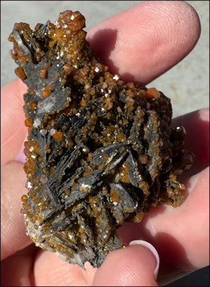 Moroccan VANADINITE Specimen - Root Chakra, Harmony