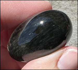 VELVET OBSIDIAN Pocket / Palm Stone with Multi-Colored Shimmer!