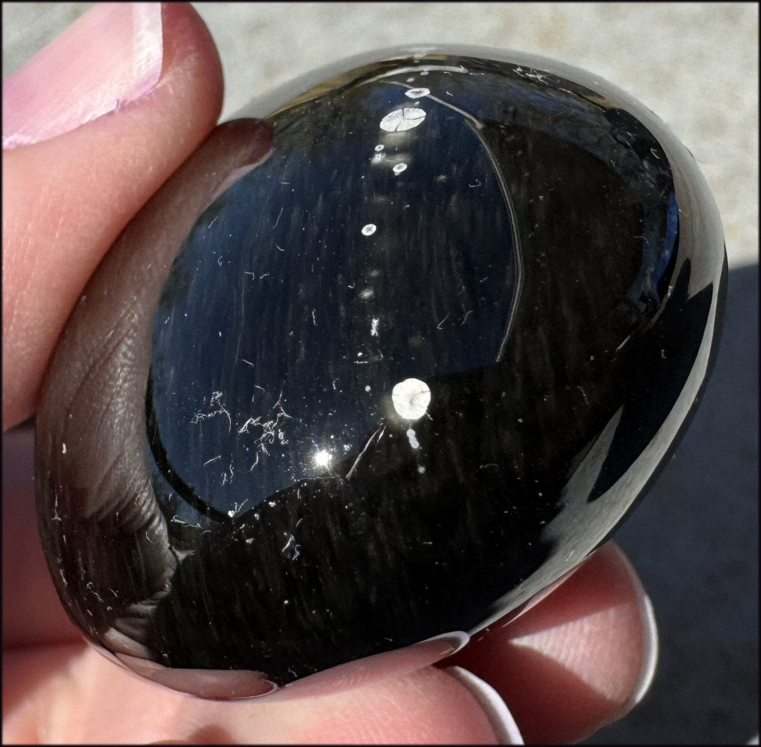 VELVET OBSIDIAN Pocket / Palm Stone with Multi-Colored Shimmer!