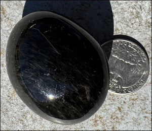 VELVET OBSIDIAN Pocket / Palm Stone with Multi-Colored Shimmer!