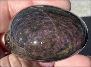 VELVET OBSIDIAN Pocket / Palm Stone with Multi-Colored Shimmer!