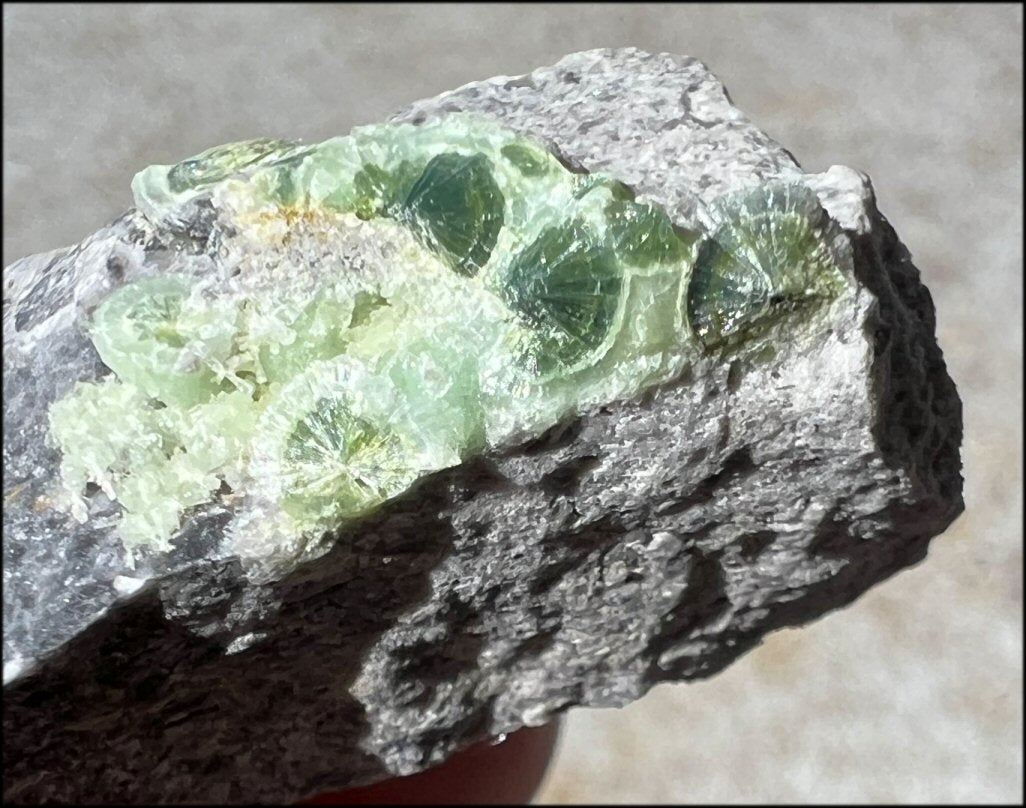 ~Old Stock~ Wavellite Crystal Specimen from Montgomery Co., Arkansas