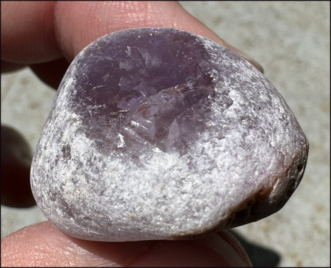 1 Pair Brazilian Window Quartz / Seer Stones - 1 Amethyst, 1 Smoky Quartz - with Synergy for 10+ years