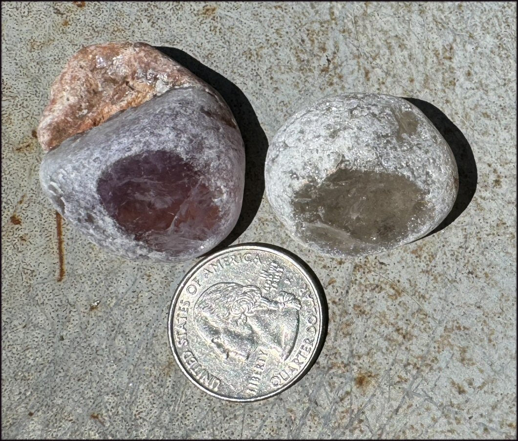 1 Pair Brazilian Window Quartz / Seer Stones - 1 Amethyst, 1 Smoky Quartz - with Synergy for 10+ years