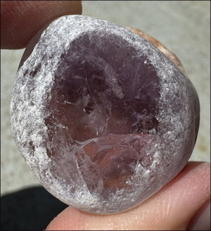 1 Pair Brazilian Window Quartz / Seer Stones - 1 Amethyst, 1 Smoky Quartz - with Synergy for 10+ years