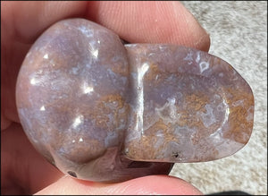 Small RAINBOW JASPER Crystal Skull - Tranquility, Third Chakra