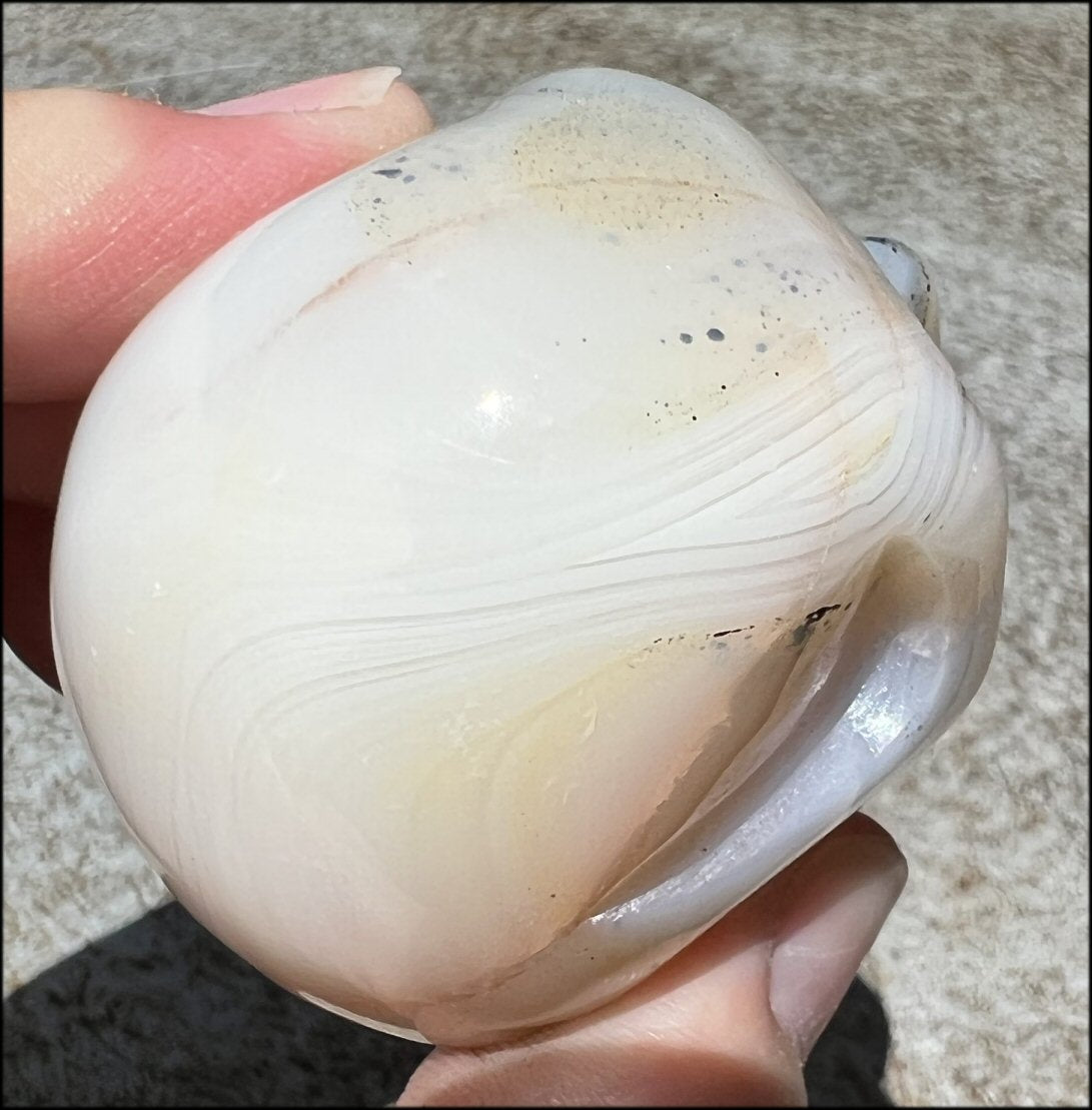 Dendritic Agate CRYSTAL SKULL with Bi-colored Dendritic inclusions