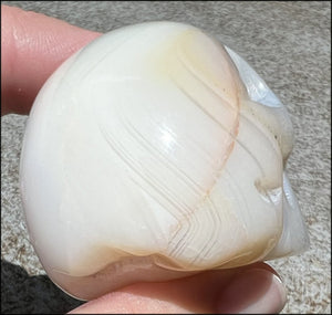 Dendritic Agate CRYSTAL SKULL with Bi-colored Dendritic inclusions