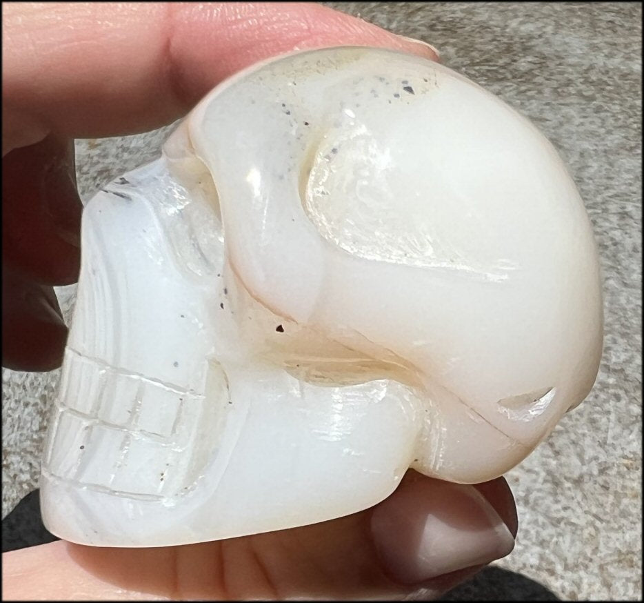 Dendritic Agate CRYSTAL SKULL with Bi-colored Dendritic inclusions