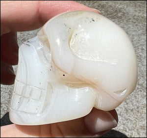 Dendritic Agate CRYSTAL SKULL with Bi-colored Dendritic inclusions