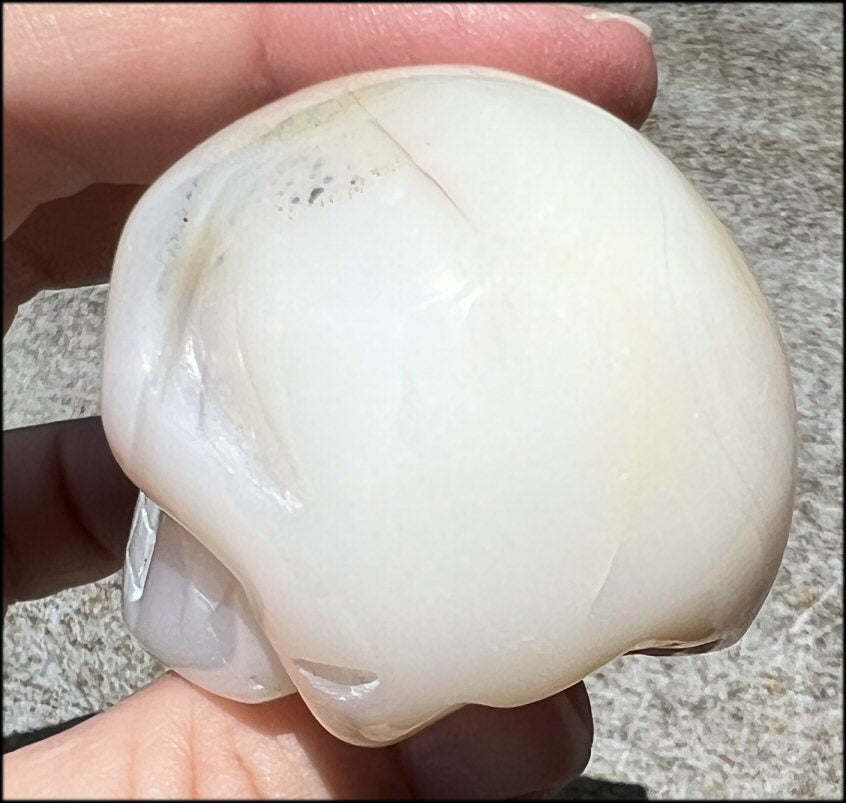 Dendritic Agate CRYSTAL SKULL with Bi-colored Dendritic inclusions