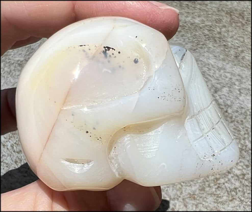 Dendritic Agate CRYSTAL SKULL with Bi-colored Dendritic inclusions