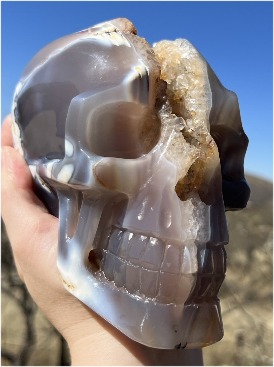 Fabulous Agate GEODE Crystal Skull with Citrine Lined Vug, Hematite, Dendritic inclusions