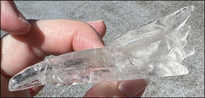 Quartz PHOENIX Crystal Skull with Lovely Clear areas, Interesting inclusions