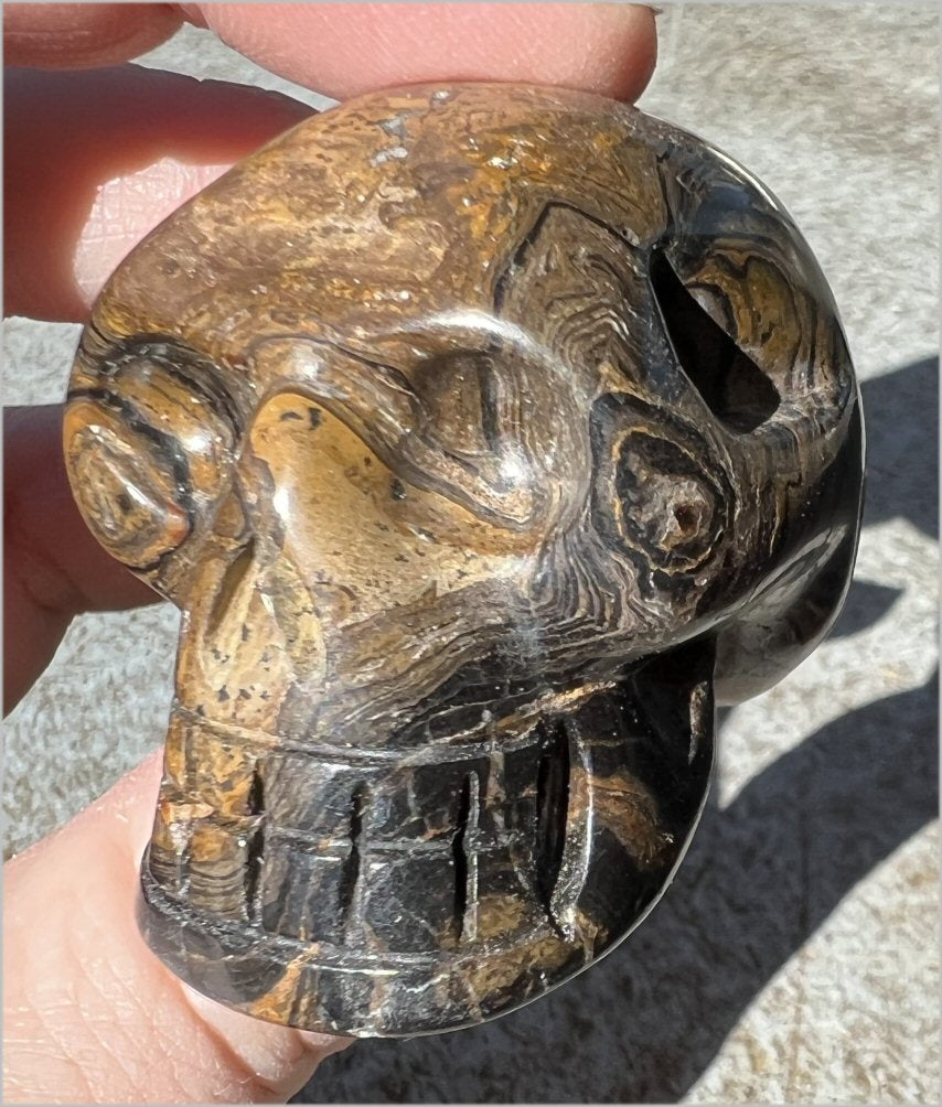 Stromatolite Fossil Stone CRYSTAL SKULL - Open to change, Root Chakra