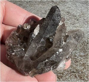 Sparkly Smoky Quartz Crystal Cluster with Bridge Crystals - Root Chakra