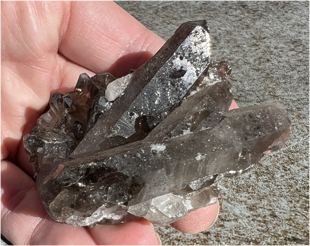 Sparkly Smoky Quartz Crystal Cluster with Bridge Crystals - Root Chakra